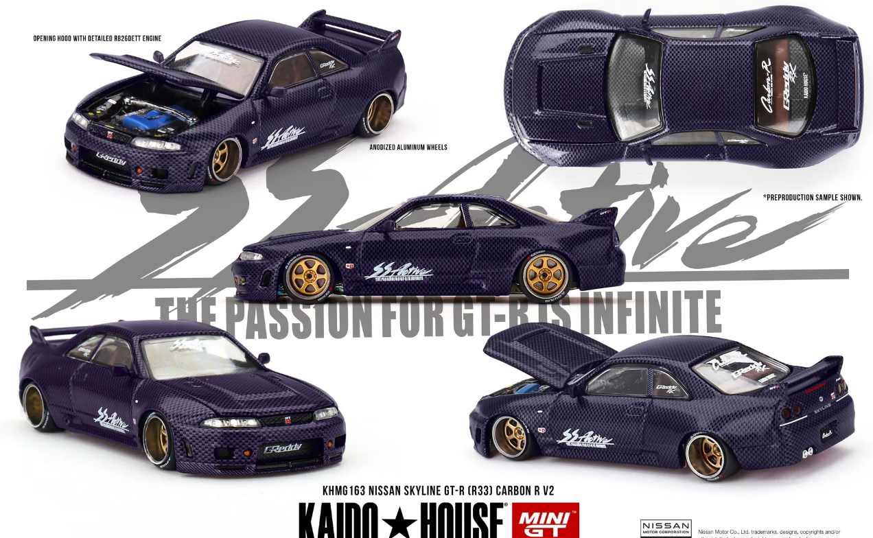 Nissan Skyline GT-R (R33) Active Carbon R V2 Kaido House //163